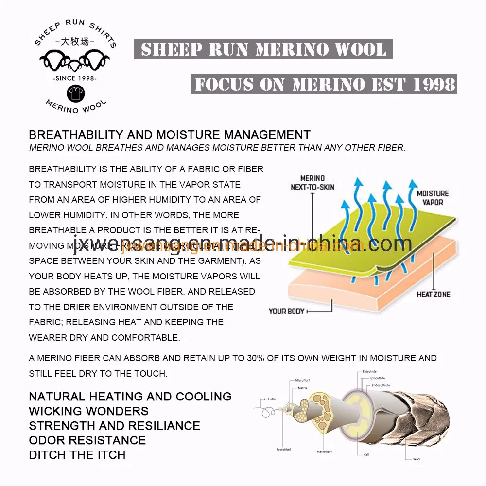 100%美丽诺羊毛妇女长袖各种颜色高领卷领毛衣从中国制造商